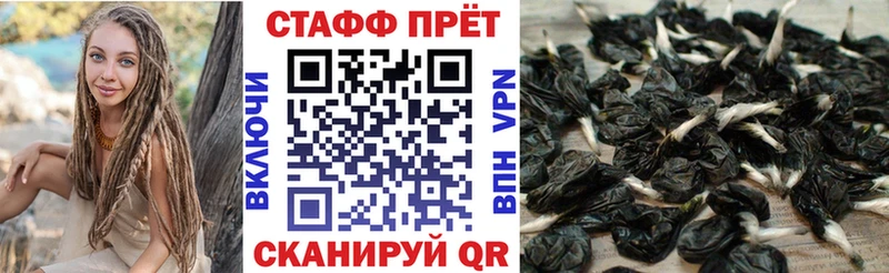 Сколько стоит Суоярви Амфетамин A PVP ГАШИШ Канабис Меф КОКАИН